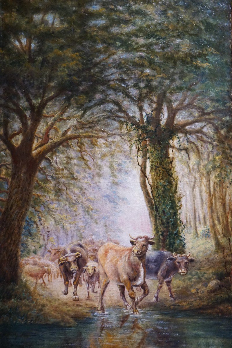 19th Century / Herds Of Cows In Undergrowth / Oil On Canvas-photo-2