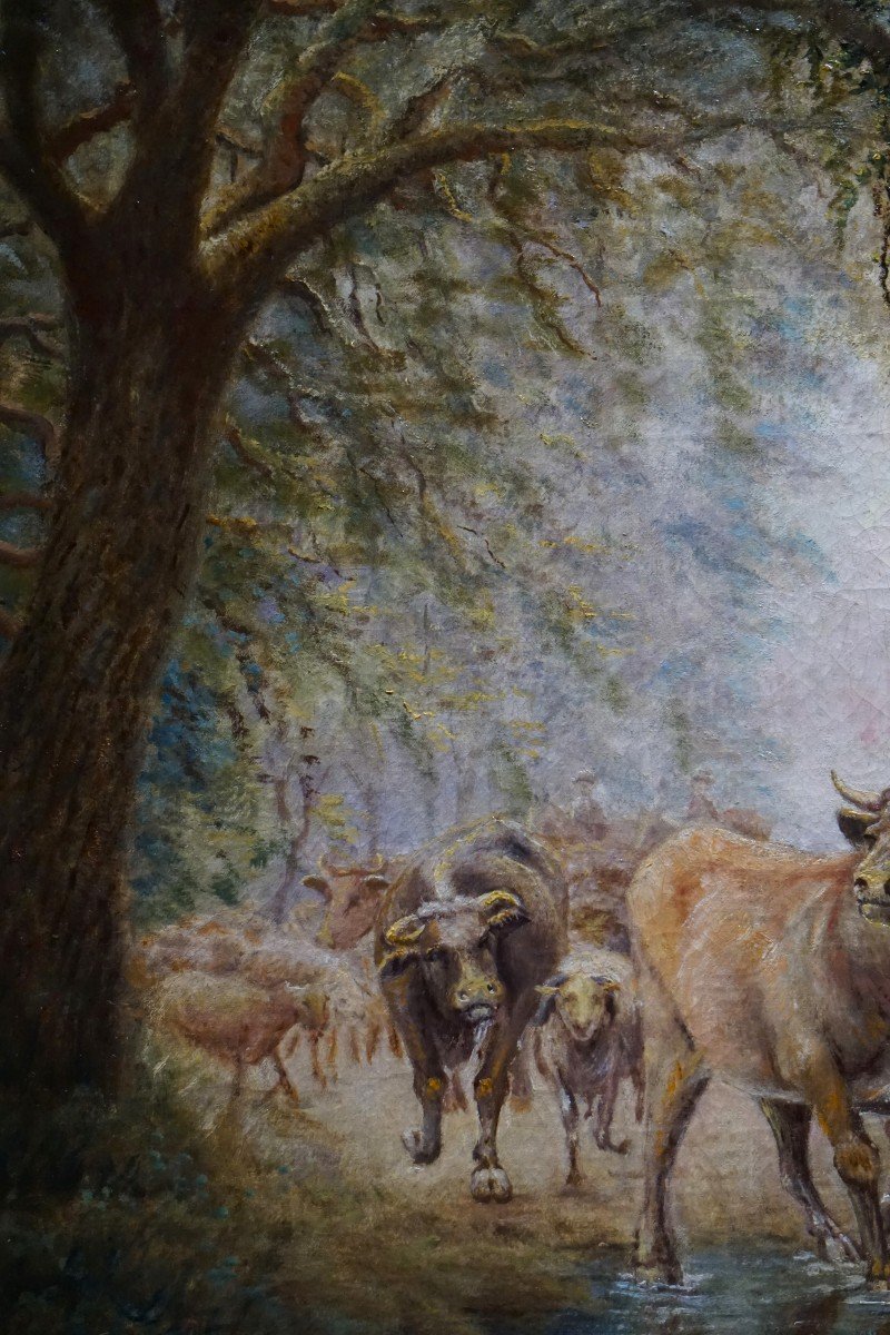 19th Century / Herds Of Cows In Undergrowth / Oil On Canvas-photo-3