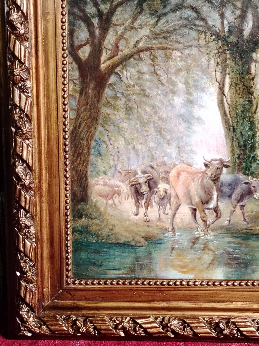 19th Century / Herds Of Cows In Undergrowth / Oil On Canvas-photo-7