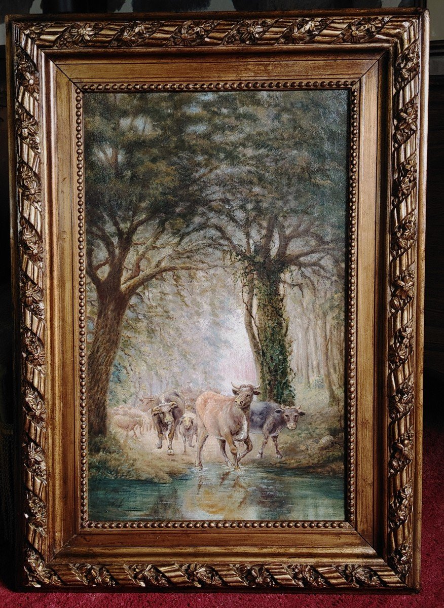 19th Century / Herds Of Cows In Undergrowth / Oil On Canvas