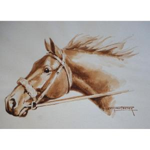 Jacques Cartier (1907-2001) / Horse Portrait / Watercolor