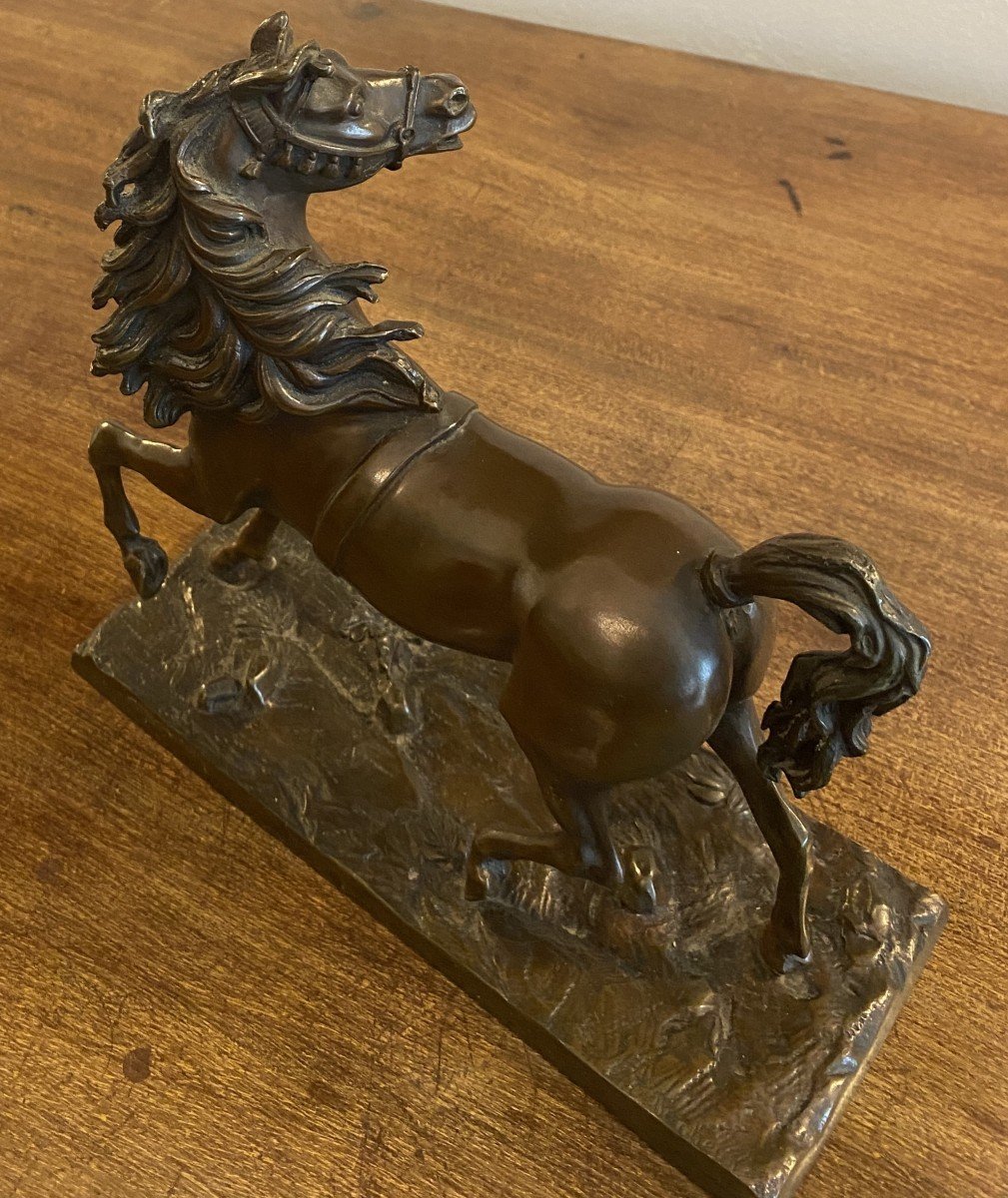 Isidore Jules Bonheur Bronze d'Un Cheval Pur Sang  XIX ème-photo-5