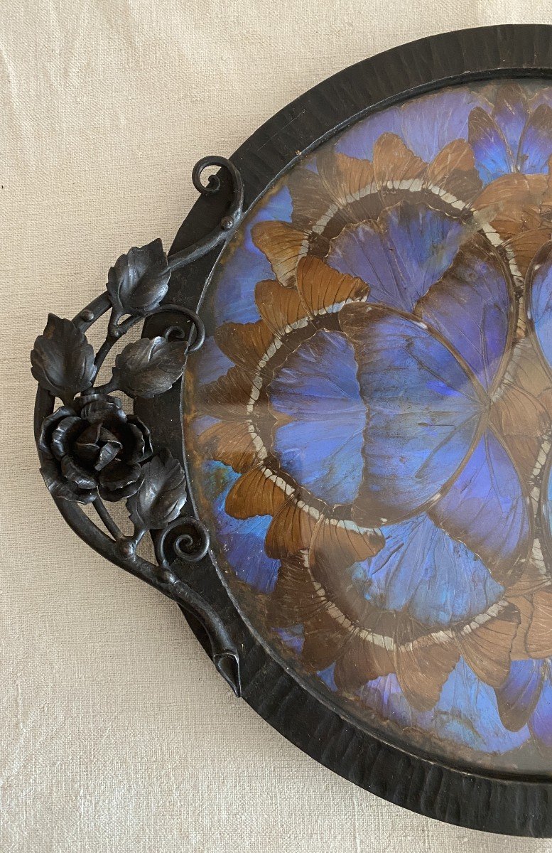 Art Nouveau Tray Or Centerpiece Wrought Iron And Butterfly Wings 20th Century-photo-3