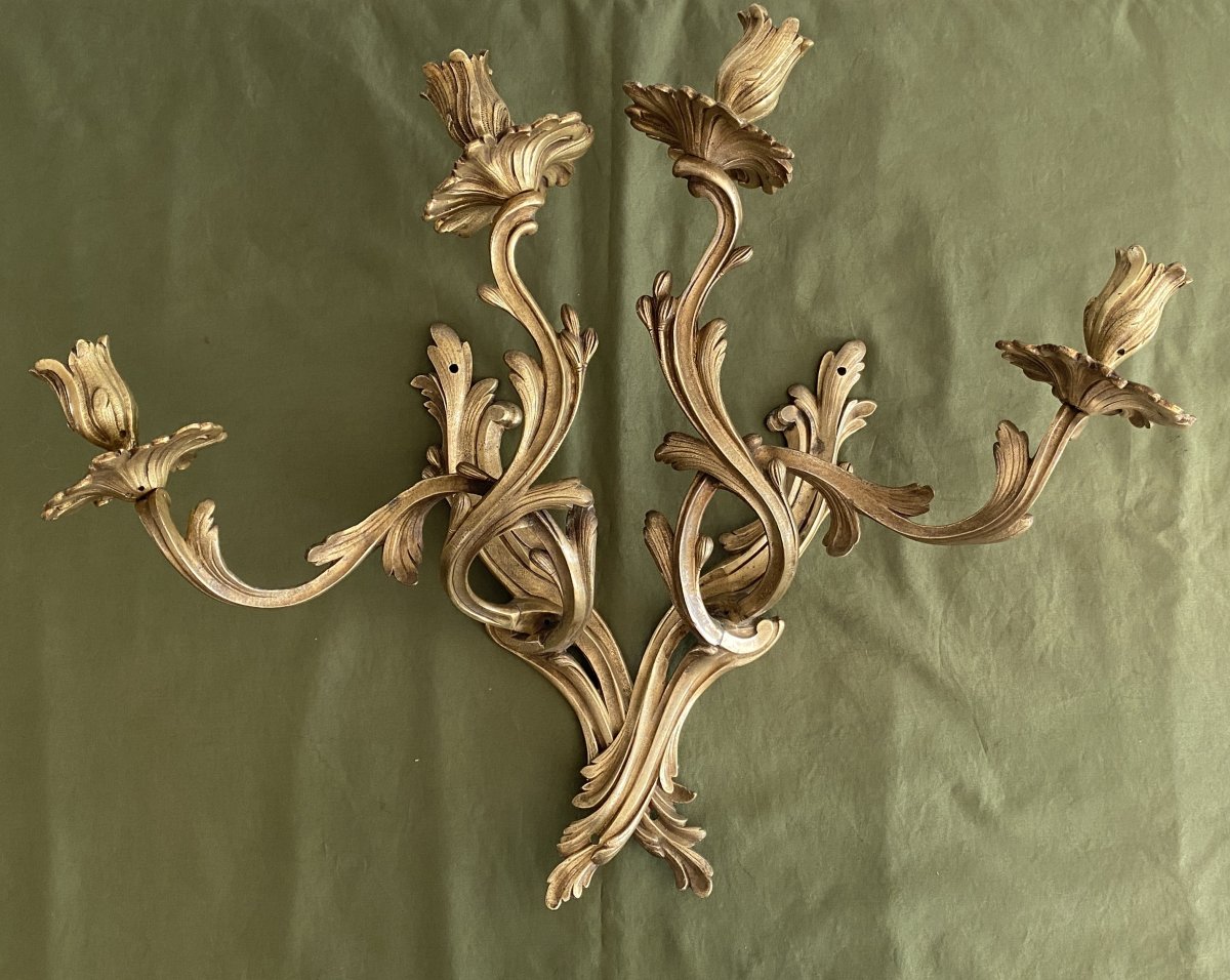 Paire d'Appliques Louis XV Rocaille En Bronze XVIII ème-photo-3