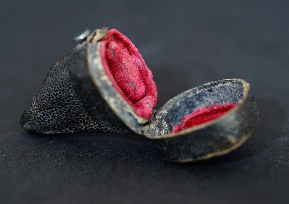 Small Case / Case For 18th Century Seal In Shagreen And Velvet