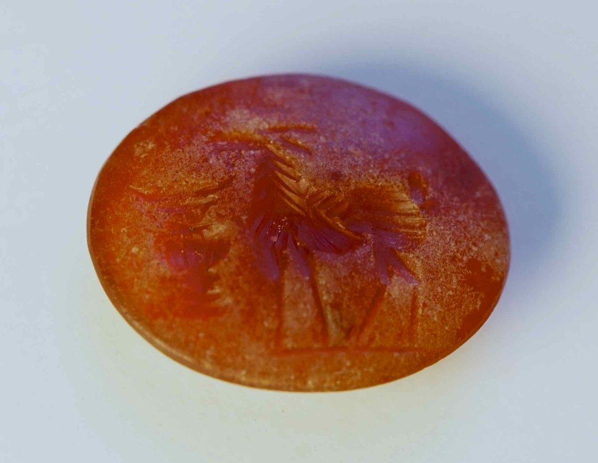 Beautiful Roman Intaglio On Carnelian: Antelope In Front Of A Cantharus -photo-2