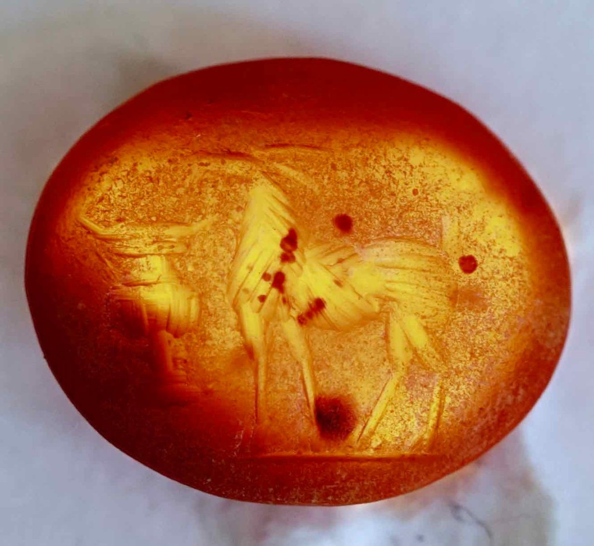 Beautiful Roman Intaglio On Carnelian: Antelope In Front Of A Cantharus 