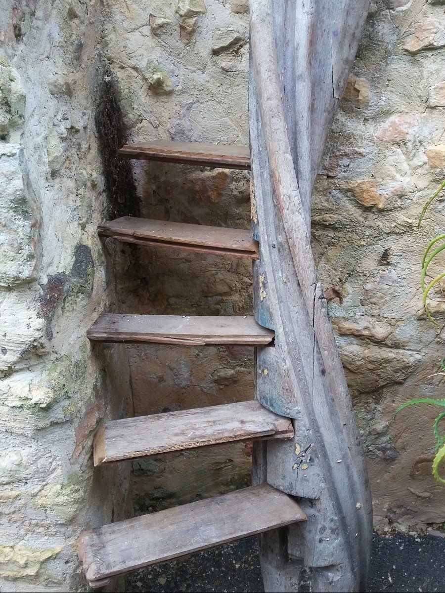 Helical Oak Staircase Columns (16th Century)-photo-4