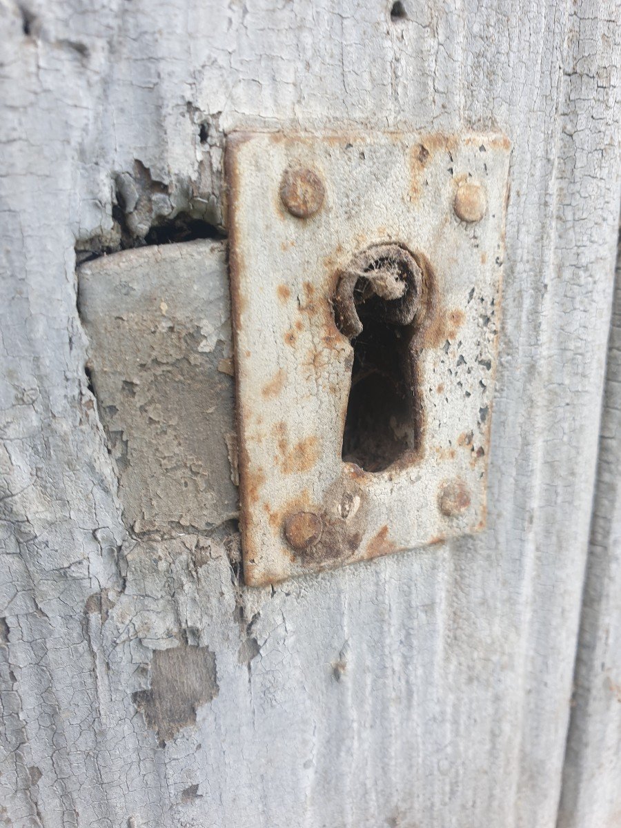 Late 19th Century Pine Cellar Door-photo-4