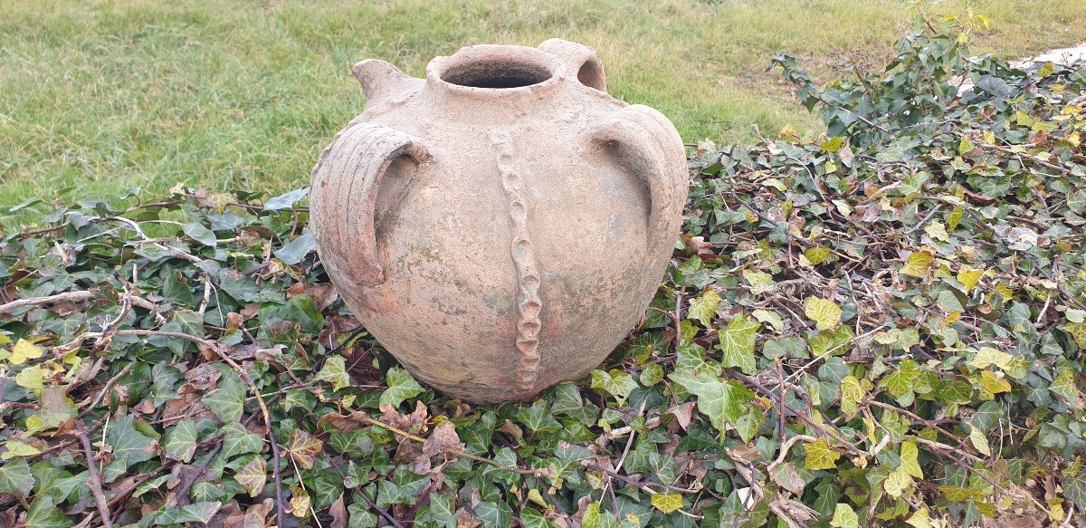 Pretty Quercy Jug For Walnut Oil - 18th Century-photo-2