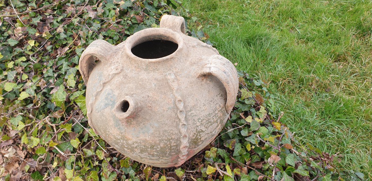 Pretty Quercy Jug For Walnut Oil - 18th Century-photo-3