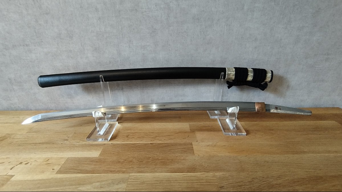 Atypical Katana From The Showa Period With Its Double-grooved Mumei Blade And Its Koshirae-photo-3