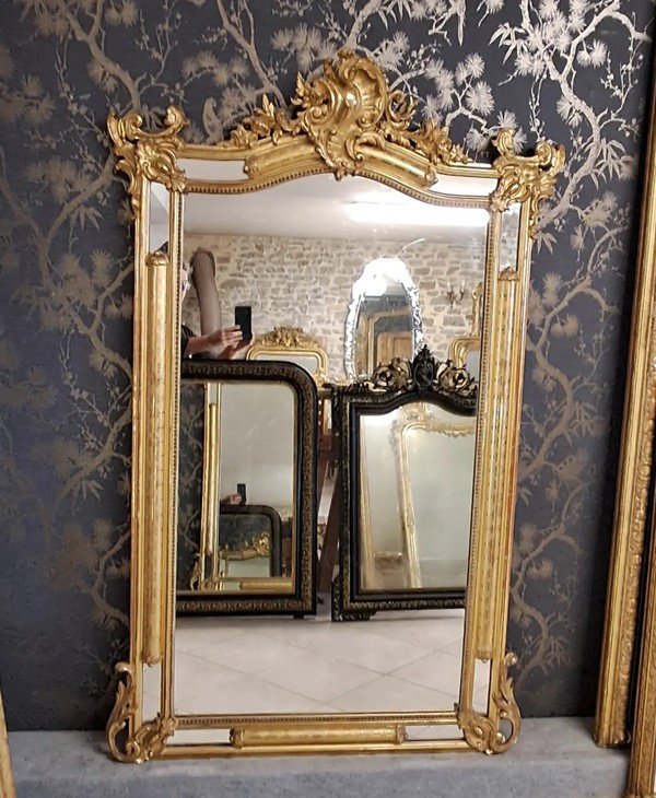 Miroir Parecloses XIX    166 X 104-photo-2