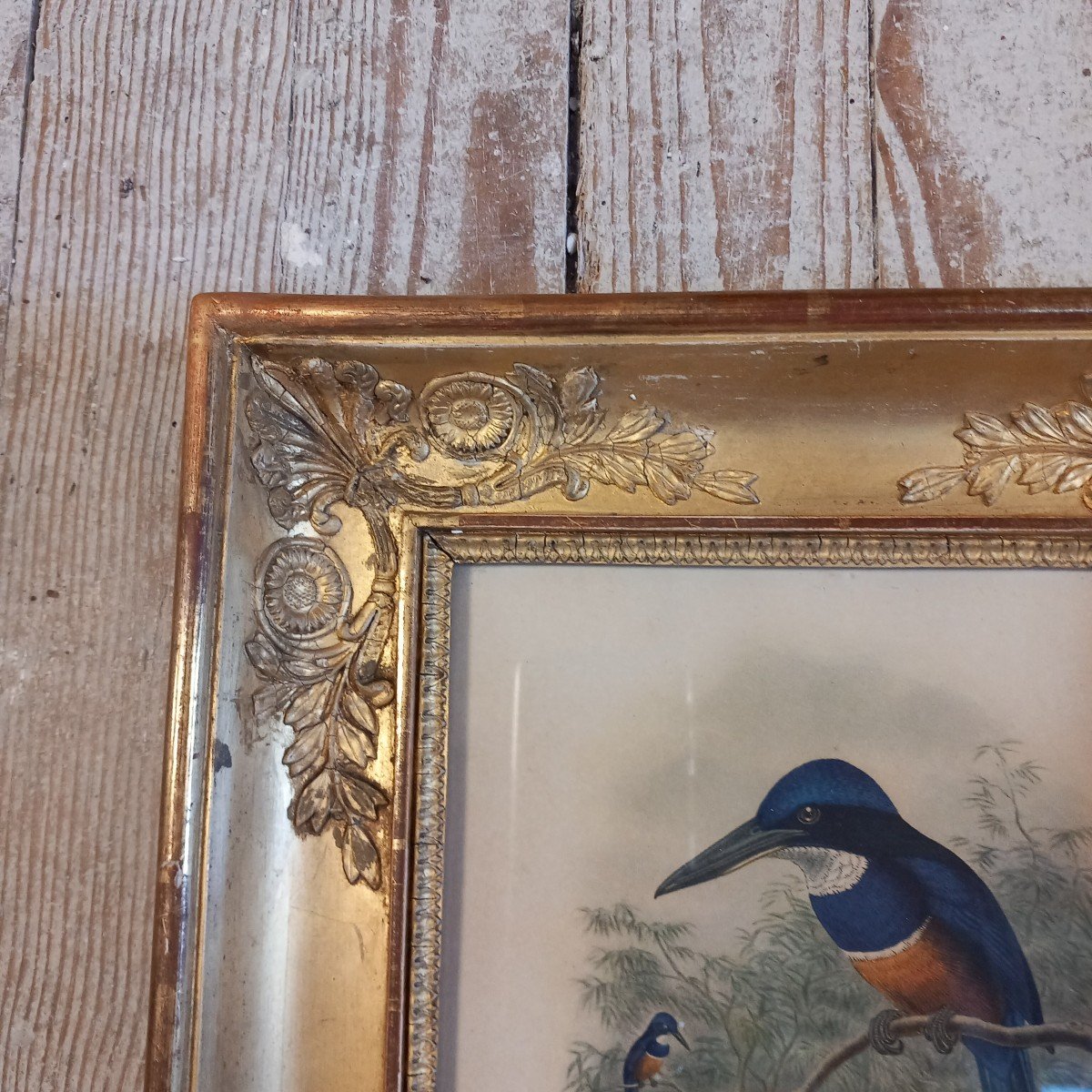 Pair Of Palmette Frames Containing Ornithological Prints-photo-4