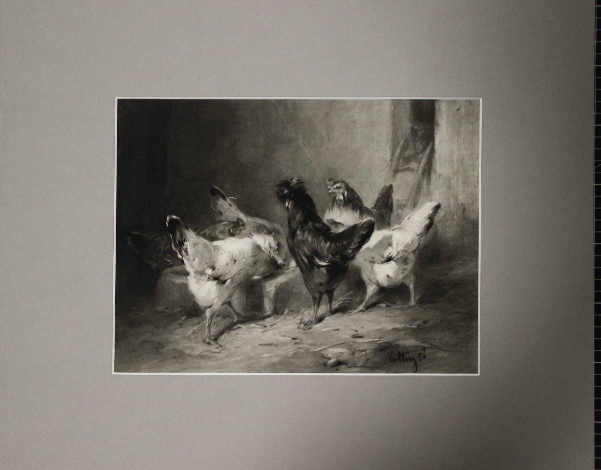 Chickens Charcoal & White Chalk E. Cottin-photo-2