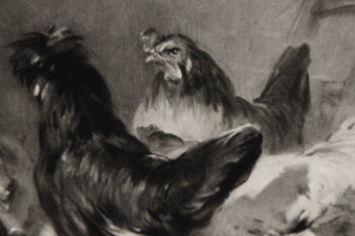 Chickens Charcoal & White Chalk E. Cottin-photo-3