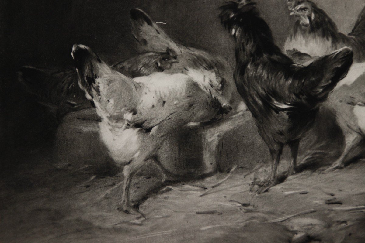 Chickens Charcoal & White Chalk E. Cottin-photo-1