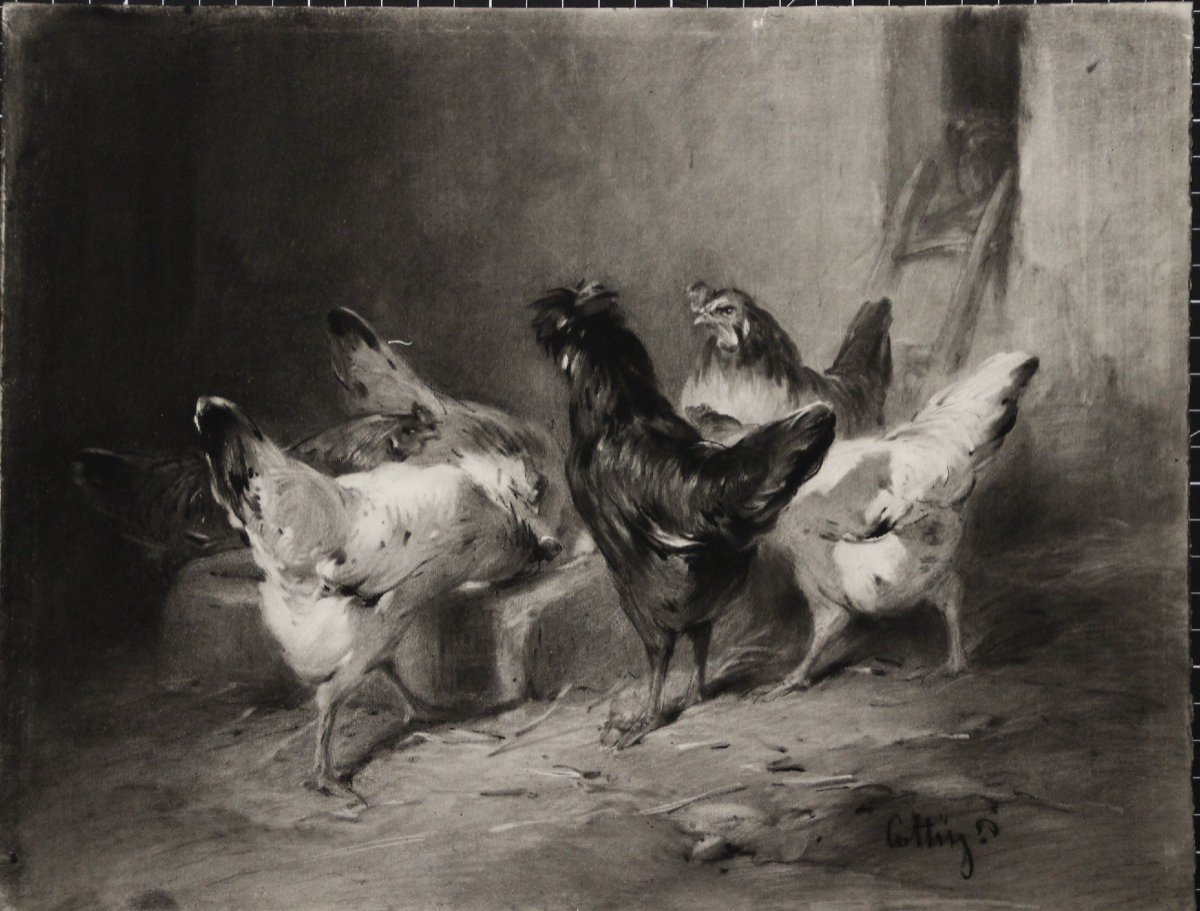 Chickens Charcoal & White Chalk E. Cottin