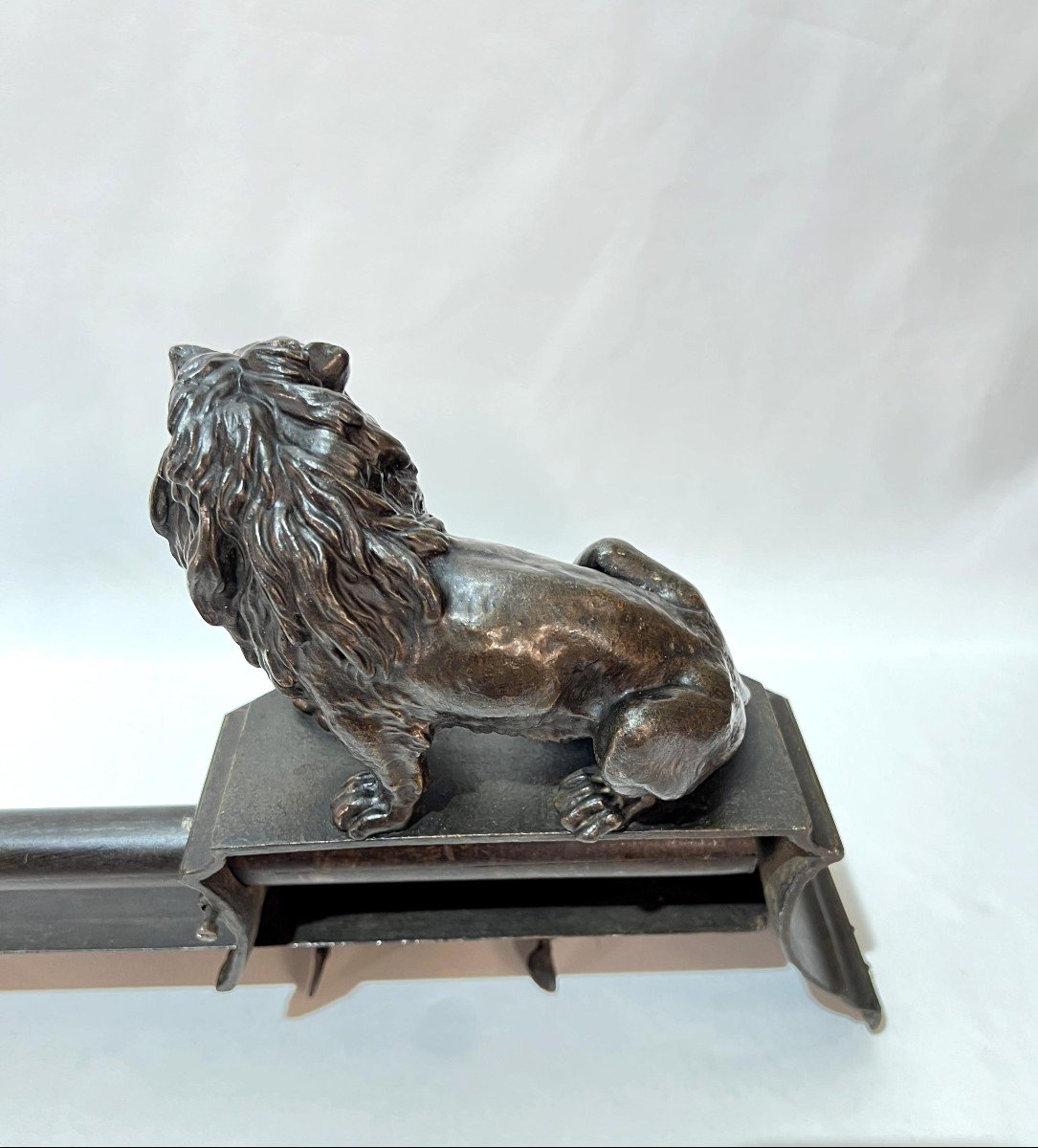 Front Of Fireplace Or "gallery Fires", With Lions XIXth Century-photo-8