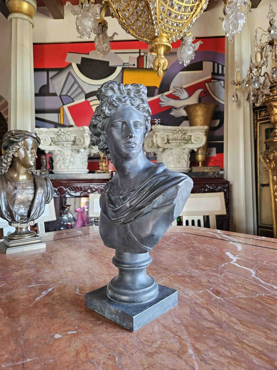 Bust Of Apollo Belvedere In Patinated Metal, 19th Century-photo-2