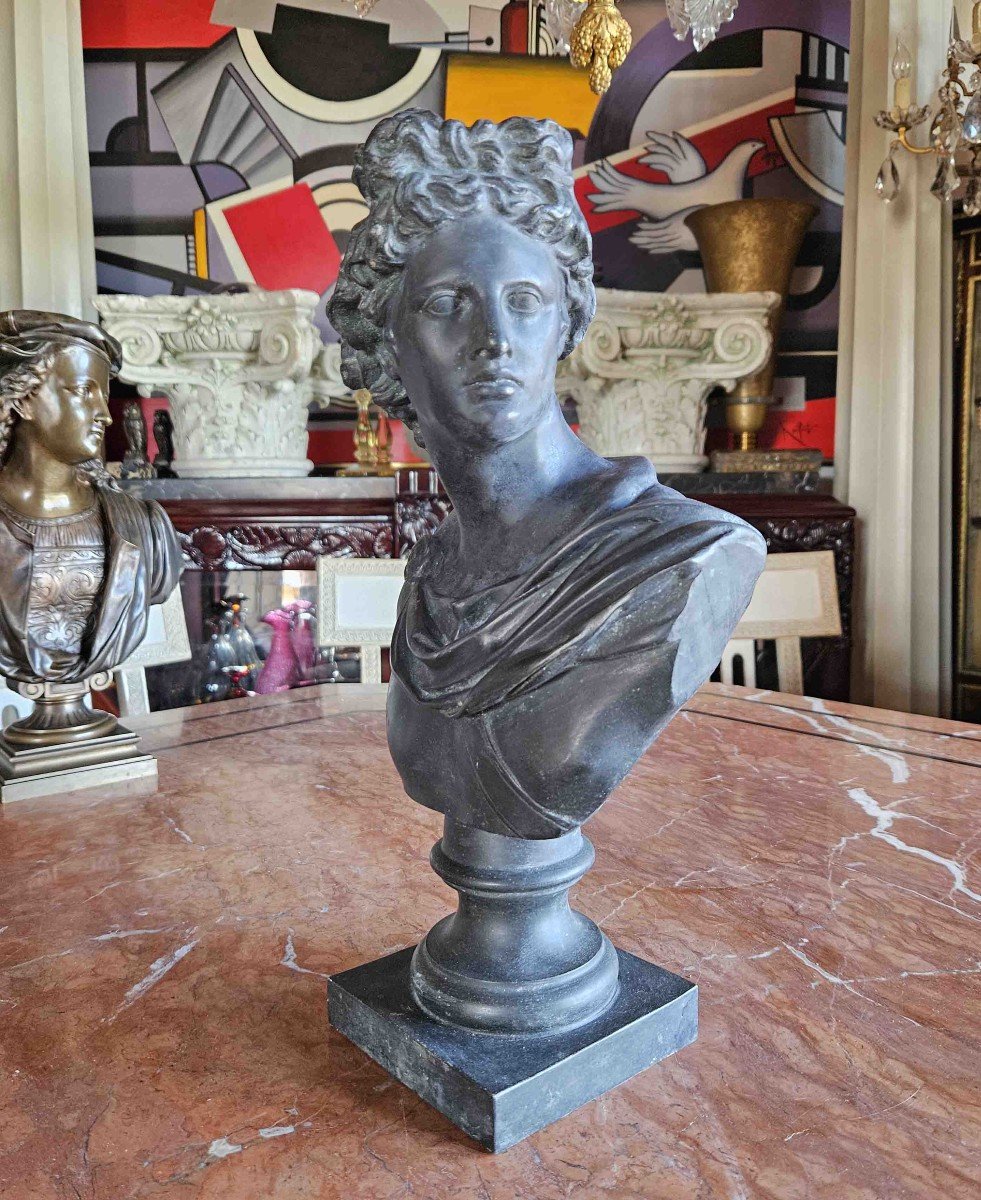 Bust Of Apollo Belvedere In Patinated Metal, 19th Century-photo-3