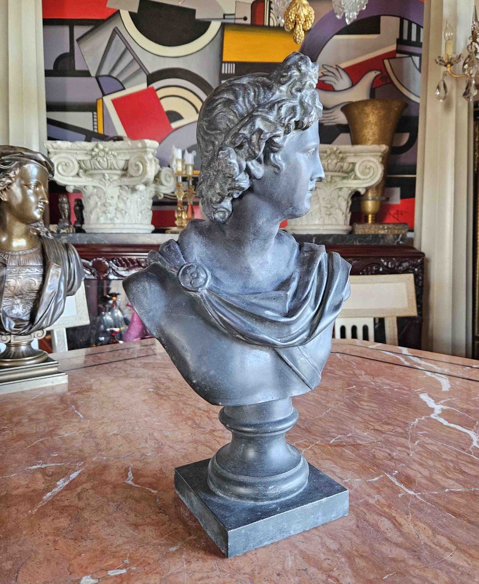 Bust Of Apollo Belvedere In Patinated Metal, 19th Century-photo-4