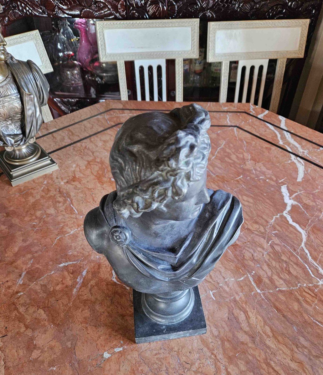 Bust Of Apollo Belvedere In Patinated Metal, 19th Century-photo-6