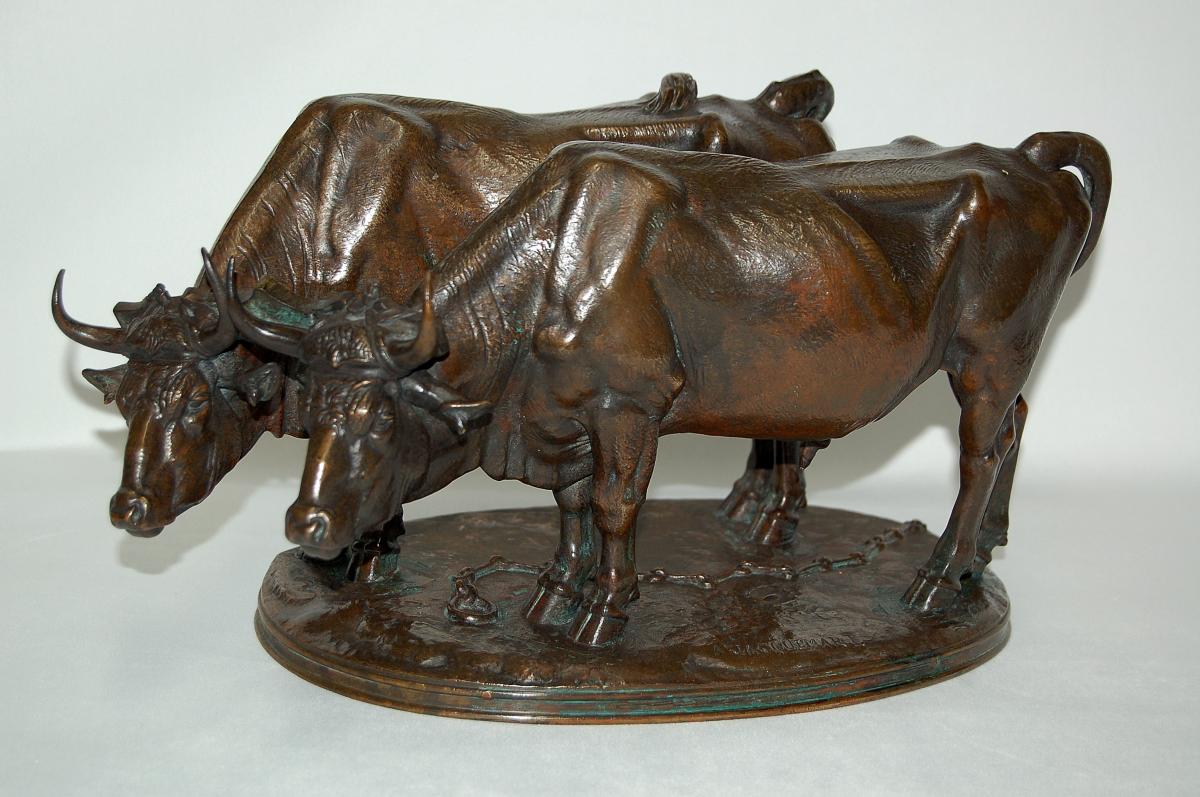 A Jacquemart Coupling Of Oxen Bronze-photo-4