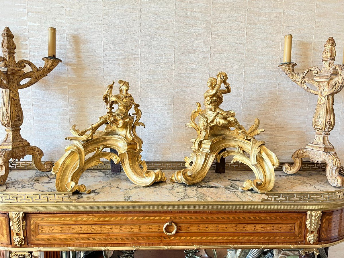 Large Andirons -photo-2