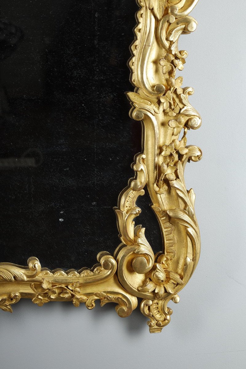 Large Rocaille Mirror With Glazing Beads In Golden Wood Louis XV Style-photo-4