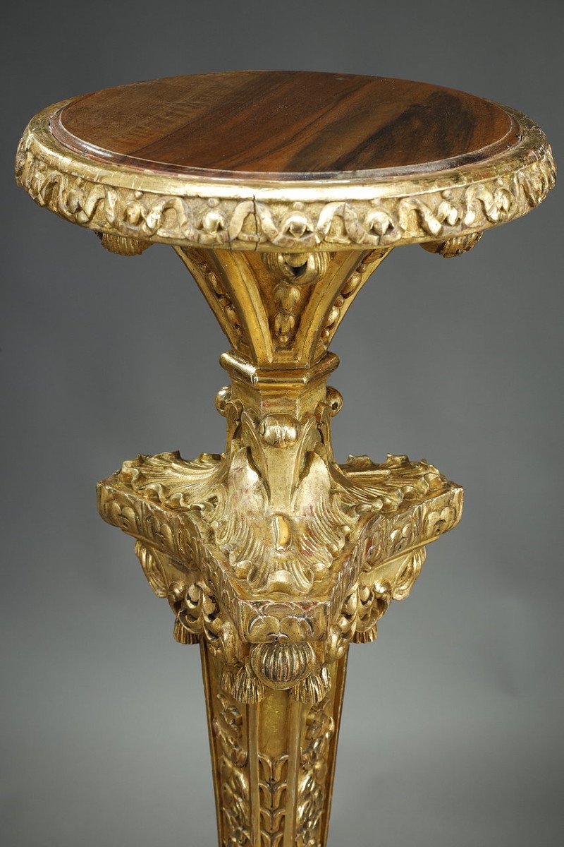 Large Tripod Column In Gilded Wood,  Louis XIV Style, 19th Century-photo-1