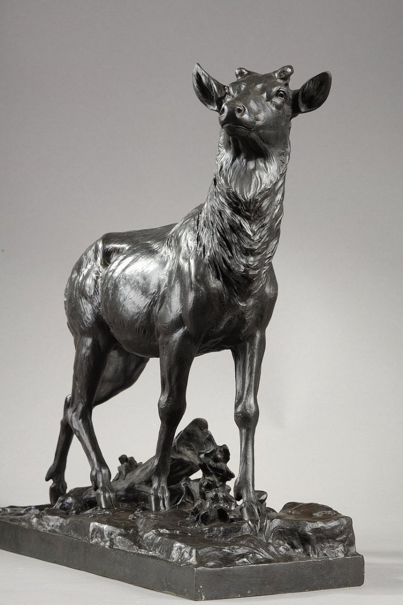 Bronze Sculpture "big Stag After Its Moult", C. Paillet, XXth Century