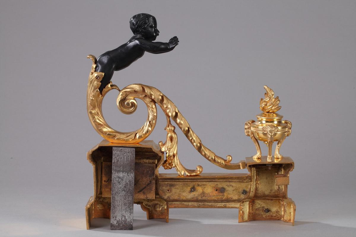 Gilt And Patinated Bronze Andirons In Louis XVI Style-photo-6