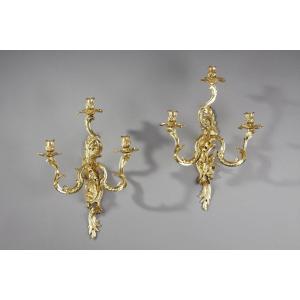 Pair Of Gilt Bronze Sconces With Three Arms Of Light, Louis XV Style