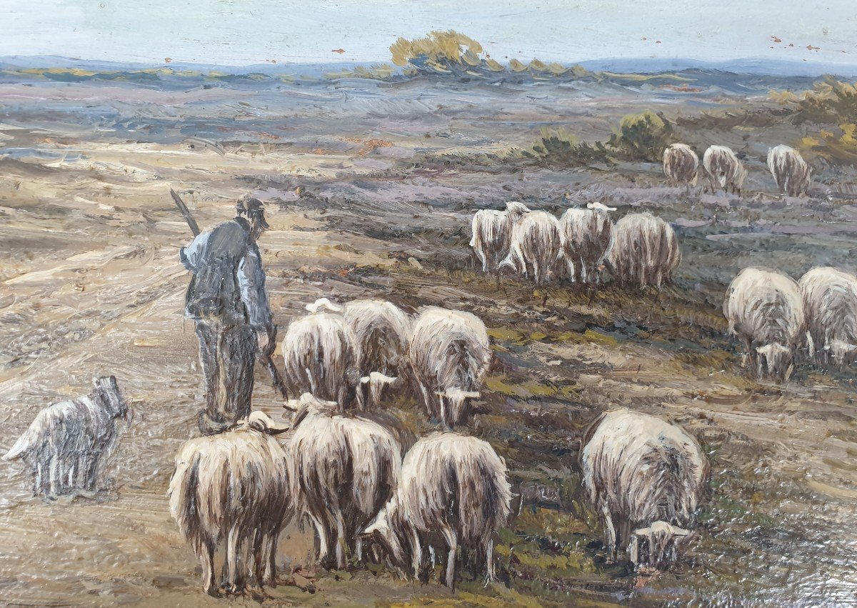 Berger et ses Moutons (circa 1890) (photo-photo-2