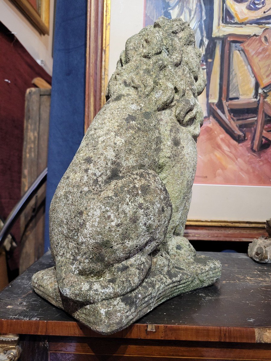 Lion In Reconstituted Stone With Garden Patina-photo-3