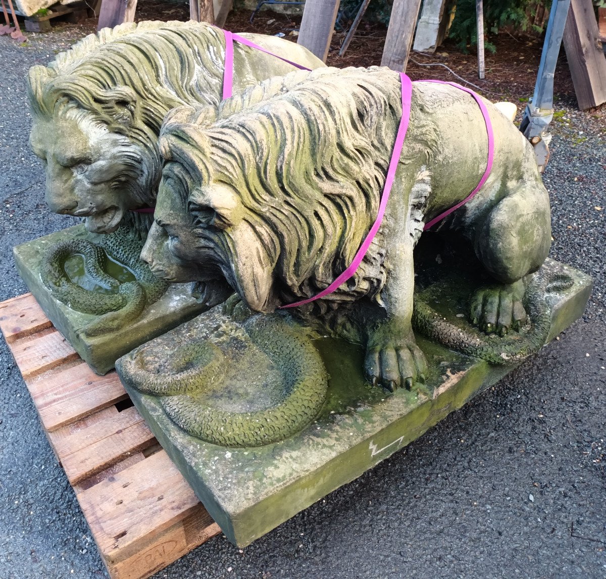 Large Pair Of Lions With Snakes In Cement-photo-2