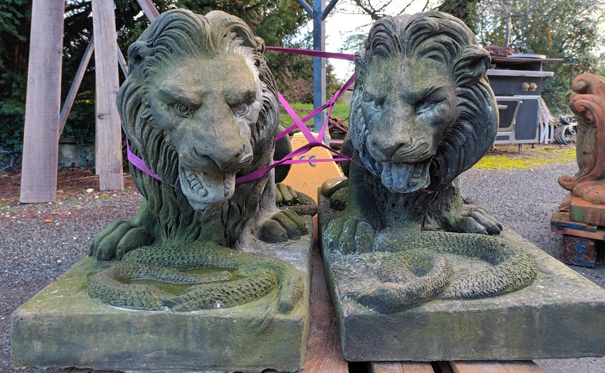 Large Pair Of Lions With Snakes In Cement-photo-3
