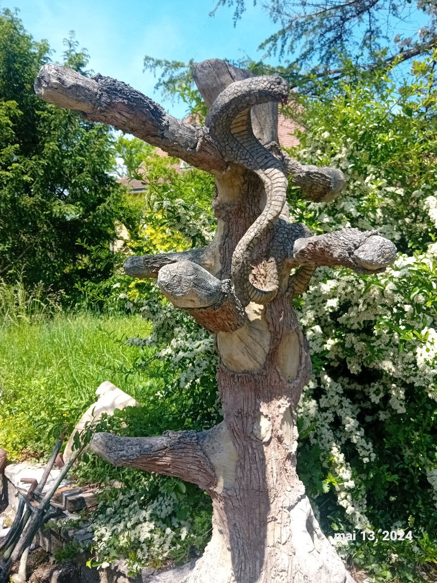 Surpenant! Insolite!  arbre au cobra   cabinet de curiosité    serpent zoologie symbolique-photo-1