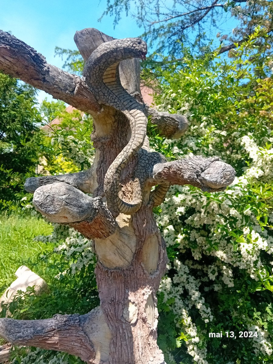 Surpenant! Insolite!  arbre au cobra   cabinet de curiosité    serpent zoologie symbolique-photo-2