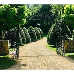 Interesting Very Large Gate (400 Cm) In Wrought Iron