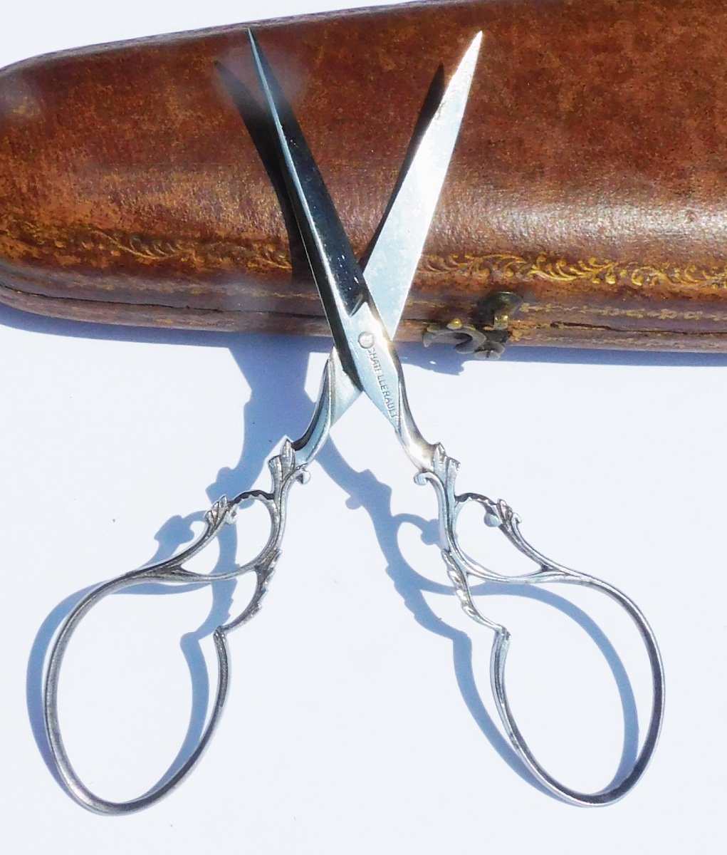 Box Case Pair Of Steel Lace Scissors Chatellerault Signed Late 19th Early 20th Century-photo-2