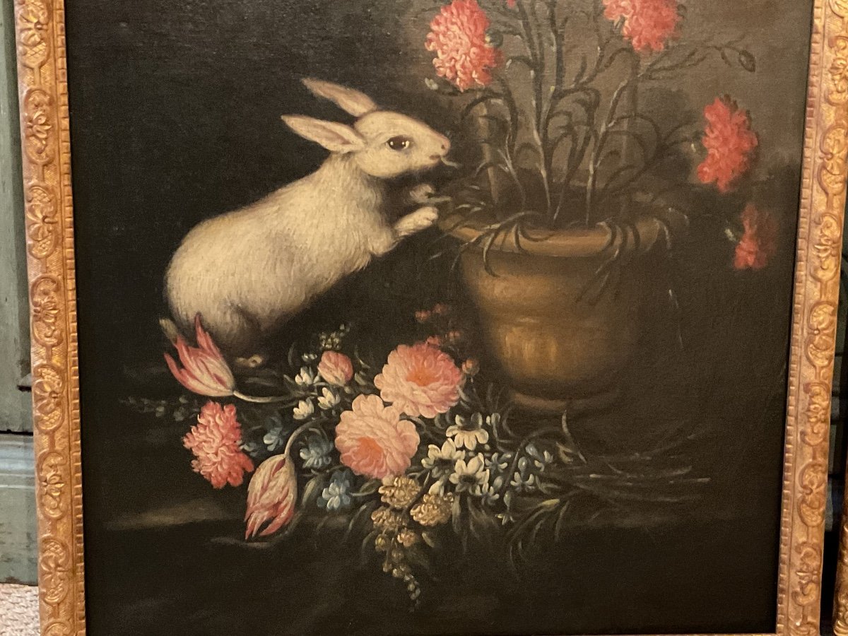 18th Century Hstoile ´animals And Flowers´-photo-3