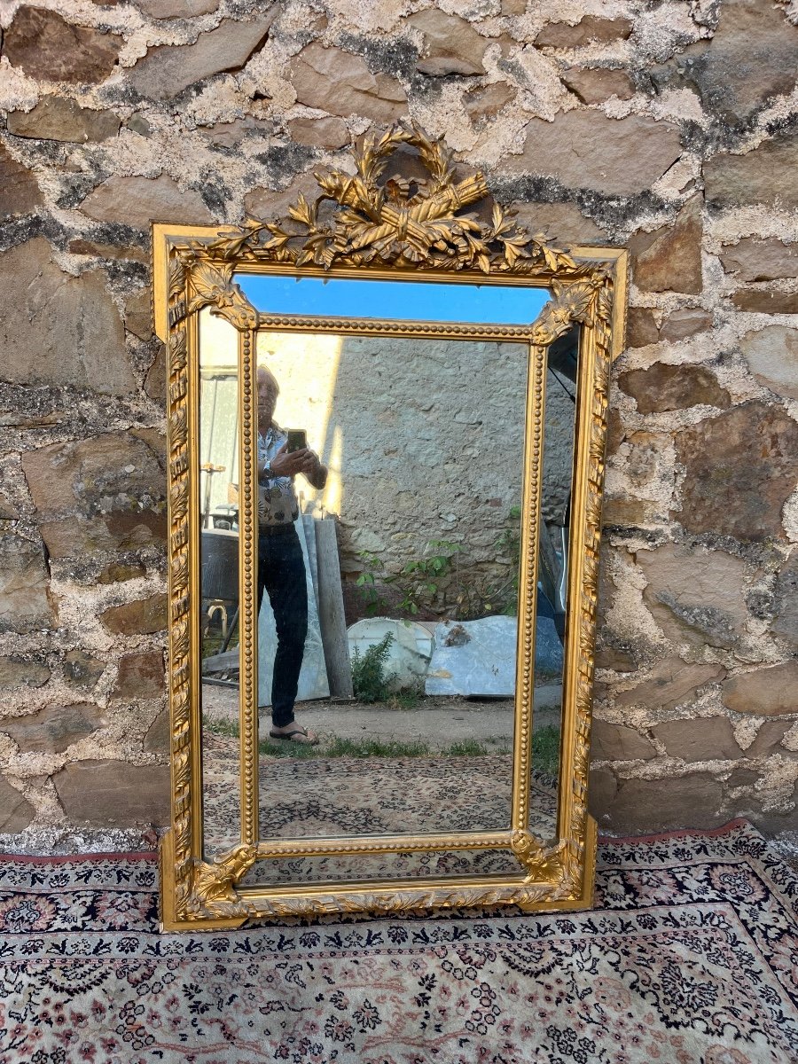 Louis XVI Style Pare Close Mirror
