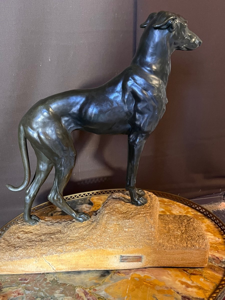 Jules Edmond Masson Large Bronze Greyhound (ht:56cm)-photo-4