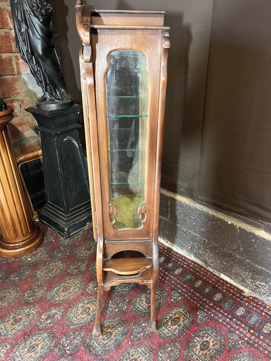 Art Nouveau Display Case, Nancy School -photo-3