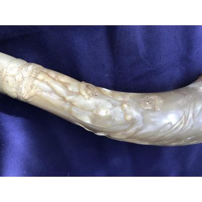 Carved Horn