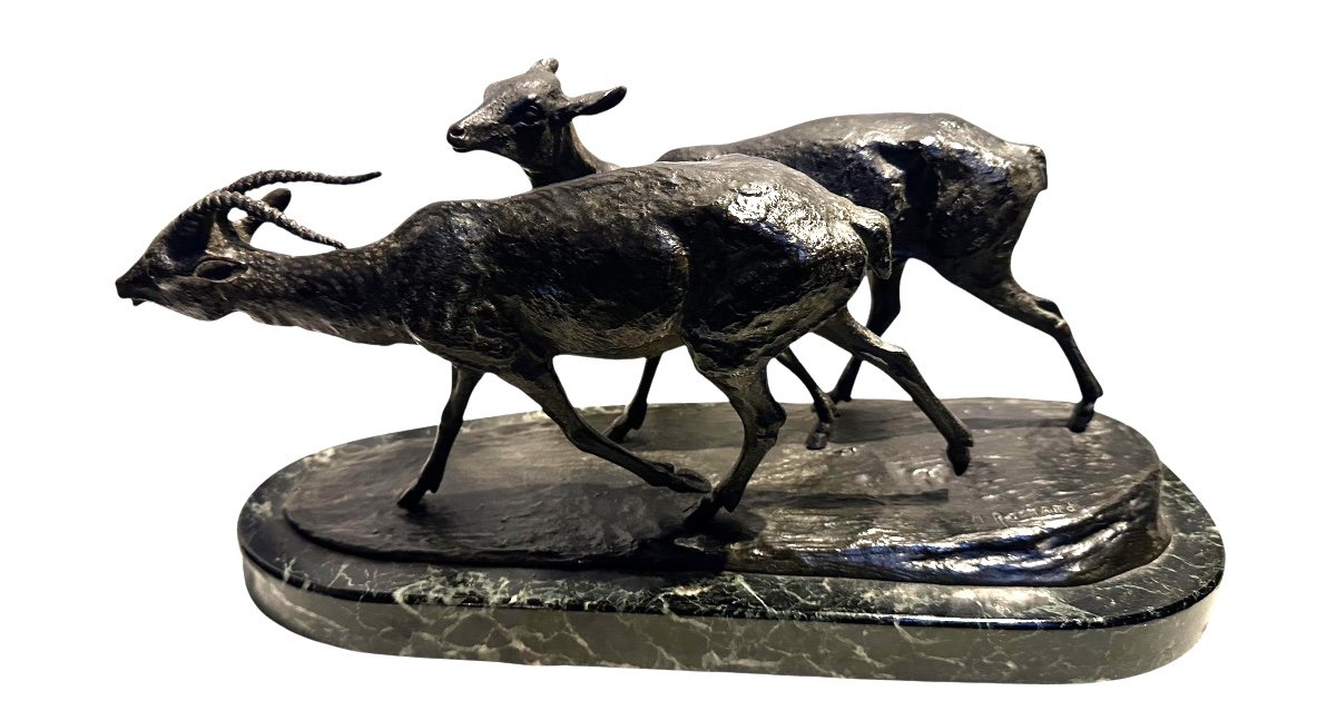 Couple D’antilopes De Irénée Rochard Bronze Français -photo-4