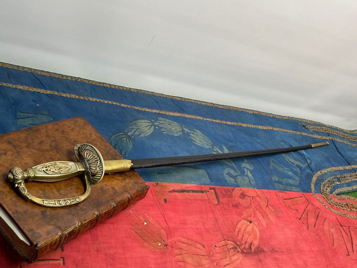 Officer's Sword From Member Of The Institute Of Egypt First Empire 19th -photo-3