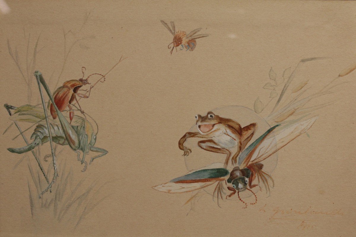Humorous Study, Gouache Drawing 'frog And Insects' Signed And Dated 1920-photo-4